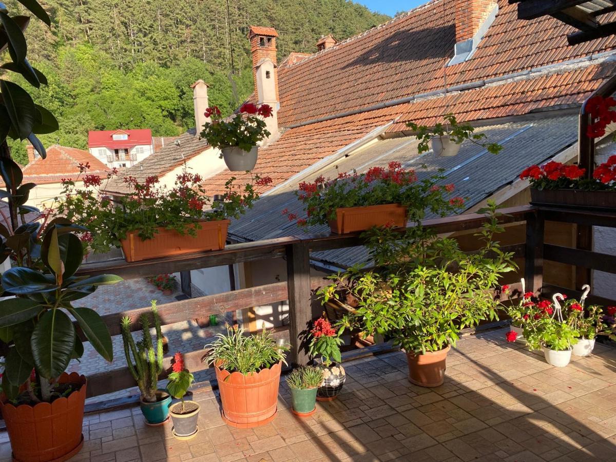 Victoria Gasthaus Rasnov - Charming Vacation House In Rasnov المظهر الخارجي الصورة